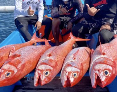 Traditional Bali Fishing Boat – Jukung