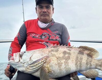 Gelora Sports Fishing : 24Hrs Trip (Jigging/Squid Fishing)
