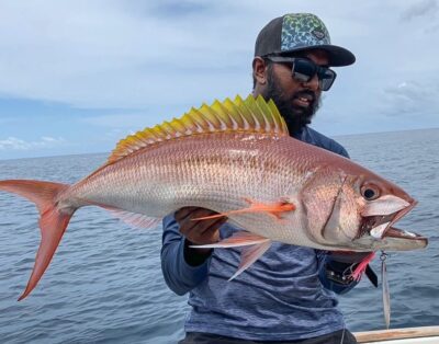 Maldives Hunter Fishing Charter : Half Day Trip