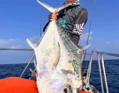 Phuket Fishing Booking : Trolling & Spinning